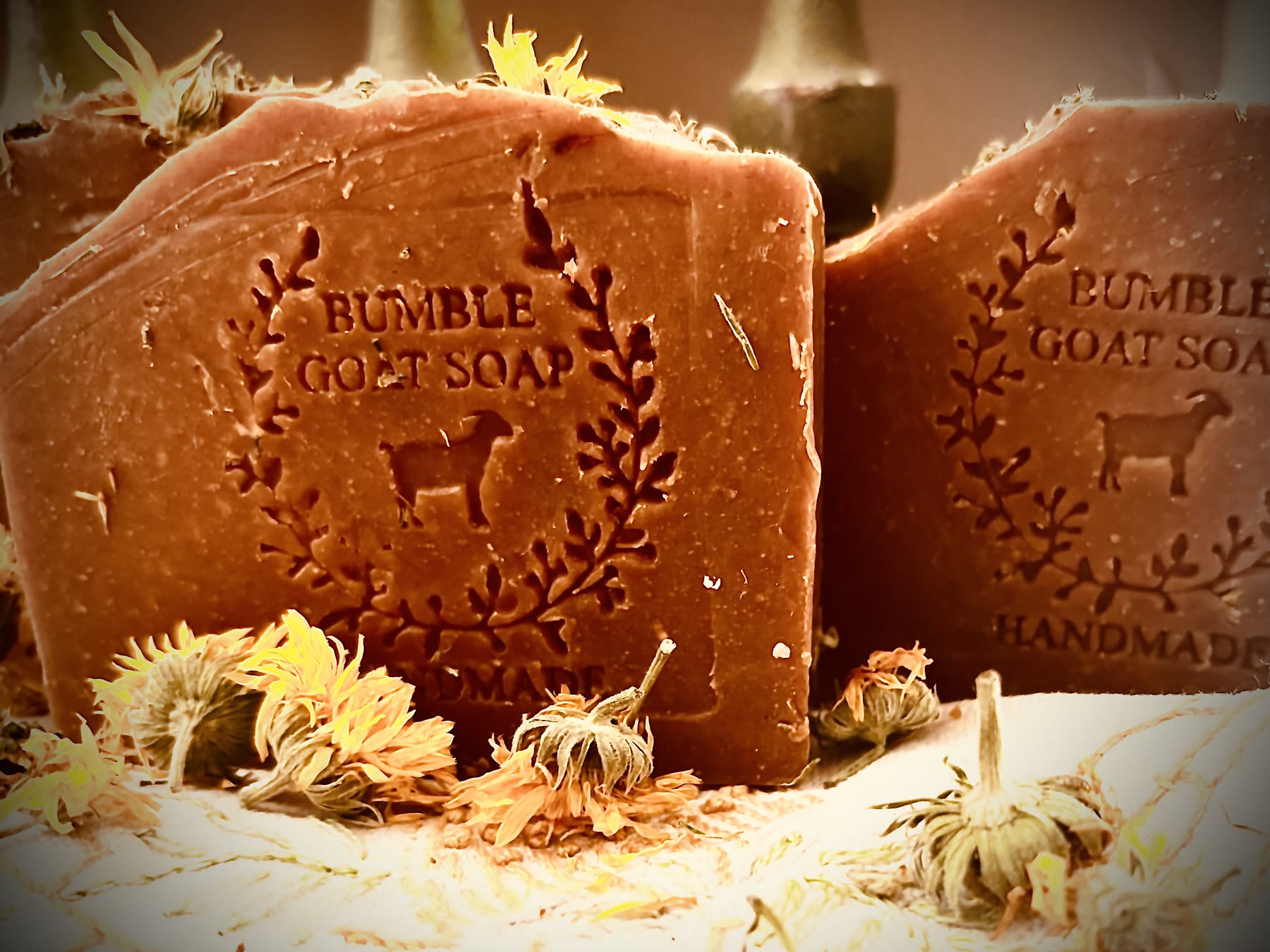 Bars of Bumble Goat Soap stamped with the goat logo, with dried calendula flowers