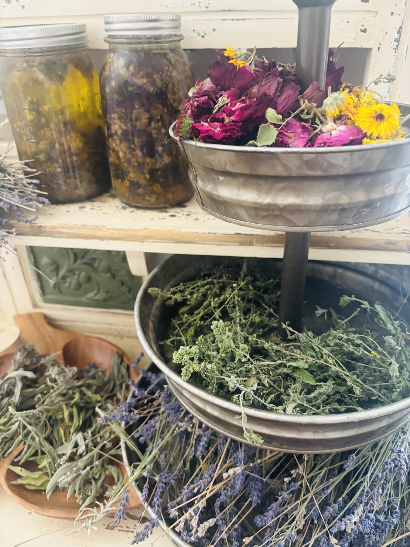 Home-grown lavender, roses, calendula and herbs drying in jars and tins